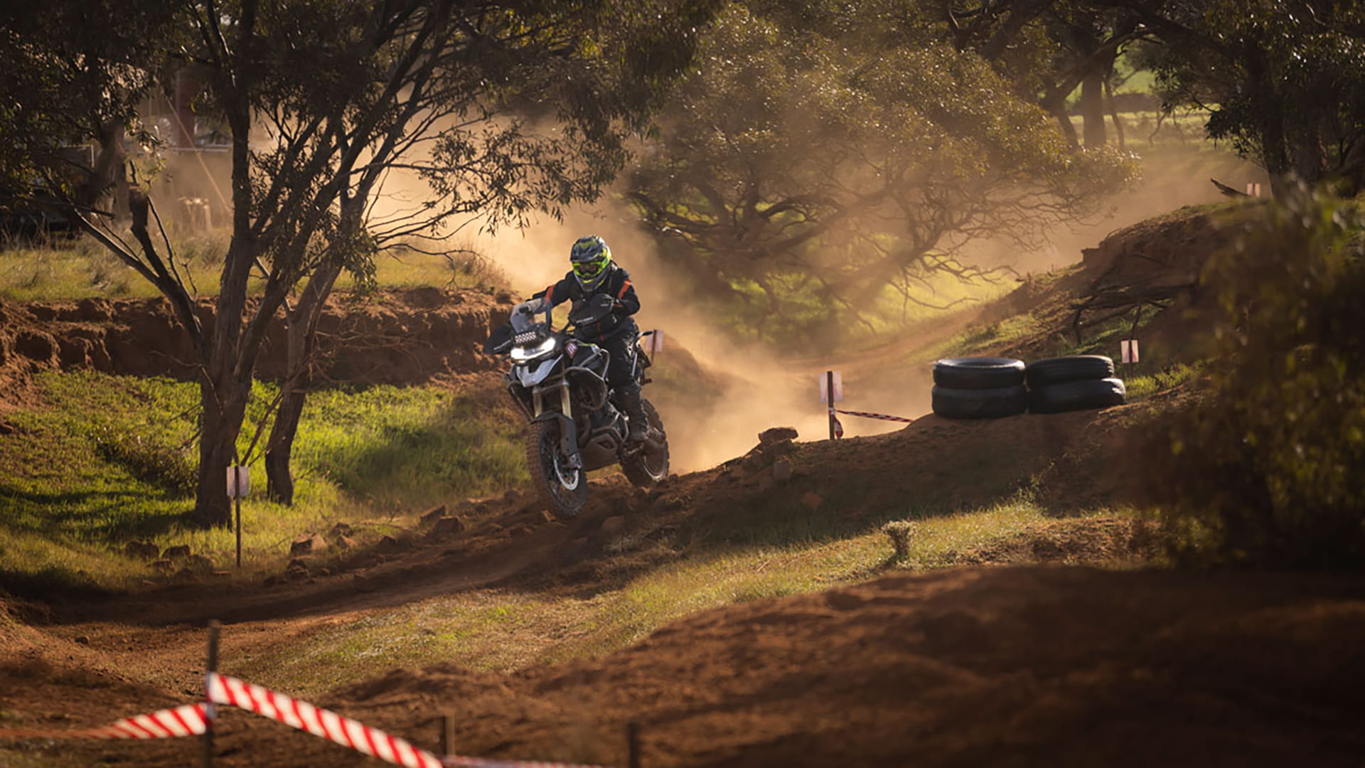 Tiger 1200 Rally Pro Conquers For the Ride